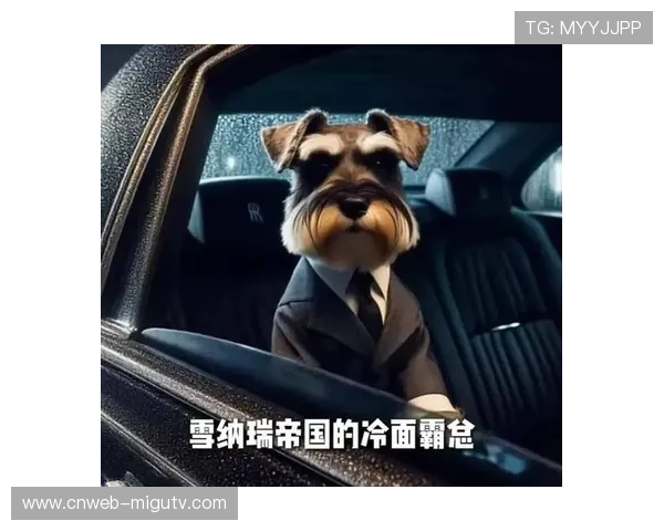 宠物AI短剧兴起，萌宠拟人化演绎低成本高产引关注